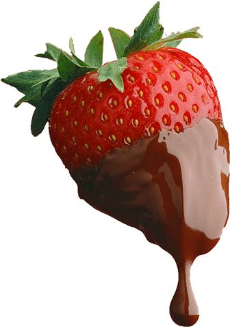 Erdbeere mit Schokolade überzogen